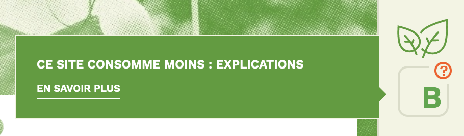 Screenshot from the Dalkia website showing the EcoIndex score of the page