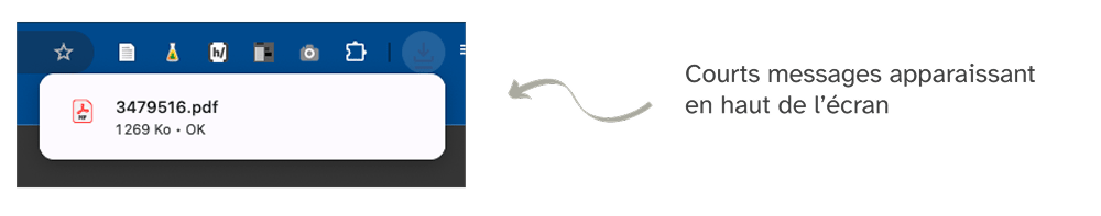 Message indiquant que le PDF a été téléchargé.