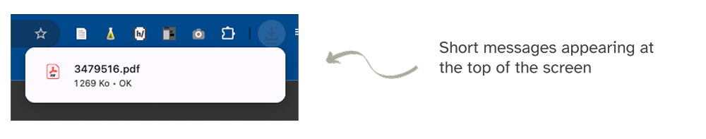 A message indicating that the PDF has been downloaded.