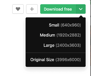 Download button with several options (Small, Medium, Large, Original Size)