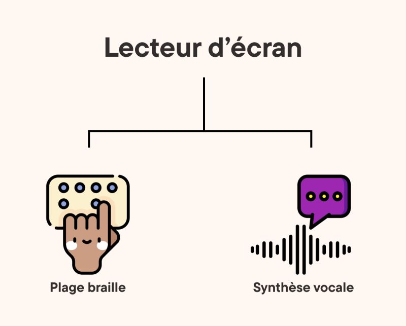 Le lecteur d'écran englobe les plages braille et les synthèses vocales.